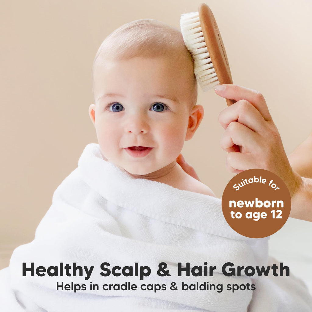 Wooden Baby Hair Brush for Toddler, Infant Cradle Cap (Golden Oak, Regular)