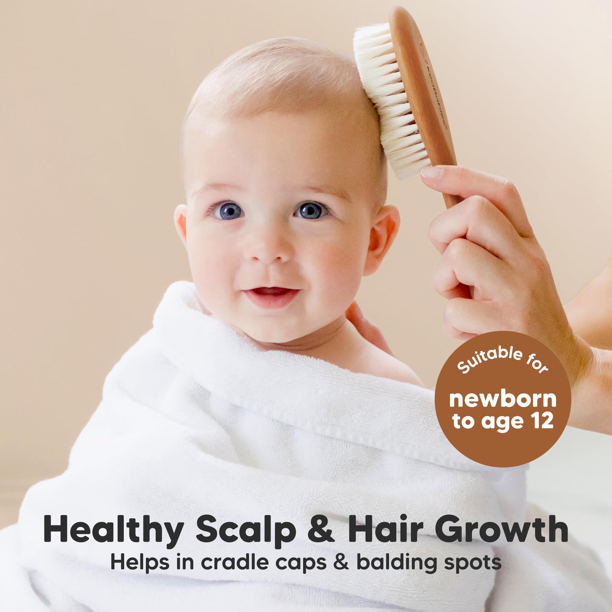 Wooden Baby Hair Brush for Toddler, Infant Cradle Cap (Golden Oak, Regular)
