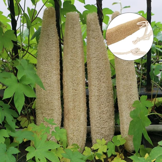 DRESSOOS Natural Loofah Back Scrubber Strap for Shower Bath, Beige Exfoliating Wash Strap with Long Band, Deep Cleaning Back Washer for Men and Women Bath Accessories