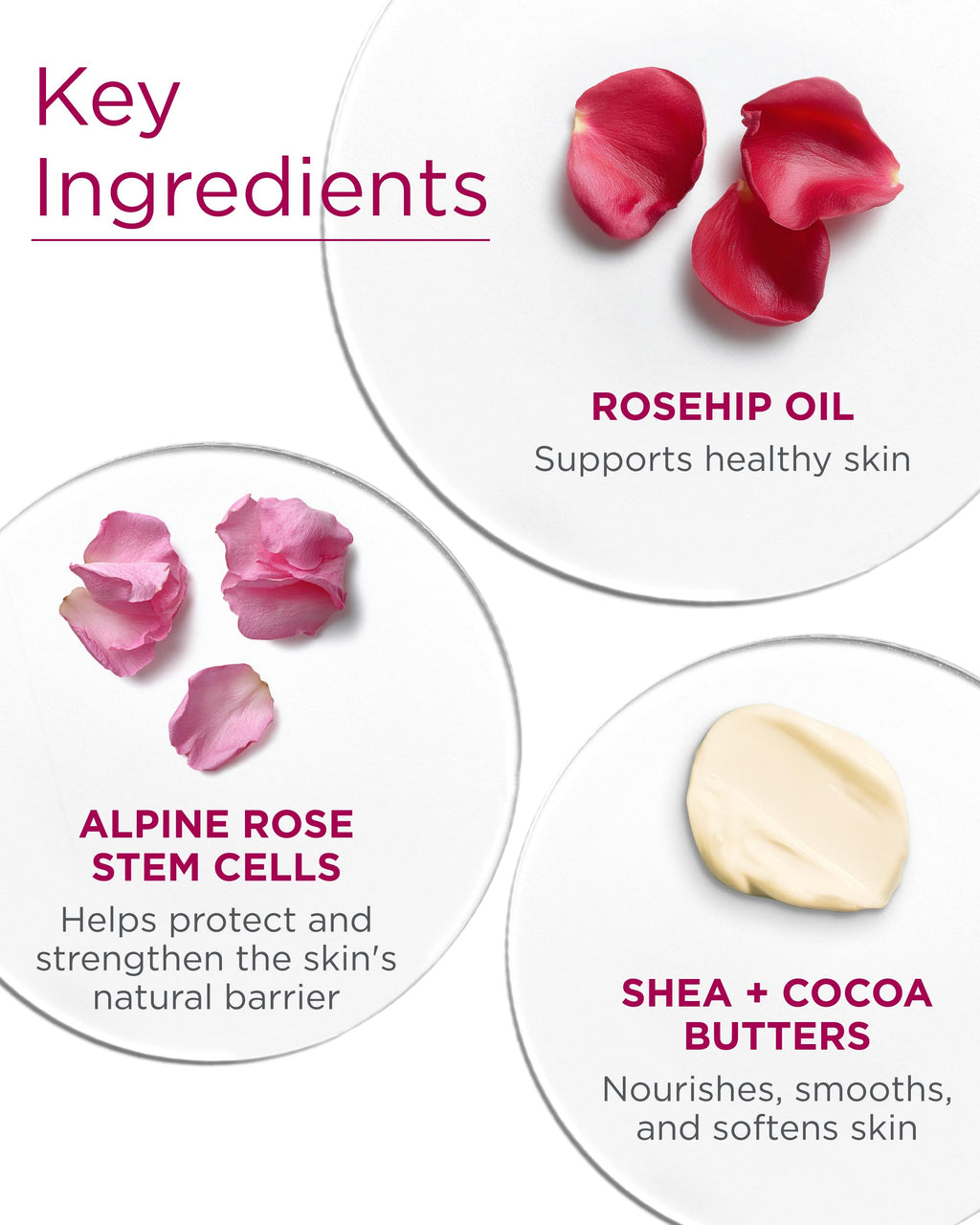 Andalou Naturals 1000 Roses Velvet Soft Body Butter | Rich Hydrating Moisturizing Cream for Nourishing Dry Skin | Shea Butter, Cocoa Butter, and Rose Stem Cells for Softening Skin | 8 fl oz