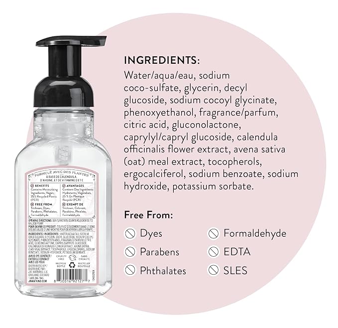 J.R. Watkins Foaming Hand Soap with Pump Dispenser,Moisturizing Foam Hand Wash,Alcohol-Free,Cruelty-Free,eau de rose,9 fl oz,(Pack of 6)
