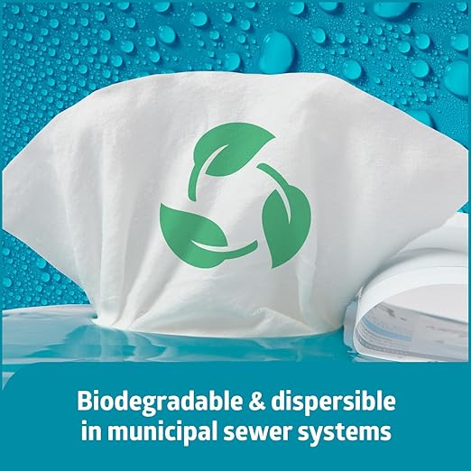 Medline ReadyFlush Flushable Wipes (60 Wipes per Tub), Scented, Biodegradable Flushable Incontinence Wet Wipes for Adults with Aloe, Hypoallergenic & pH-Balanced Personal Cleansing Cloths, 8" x 12"