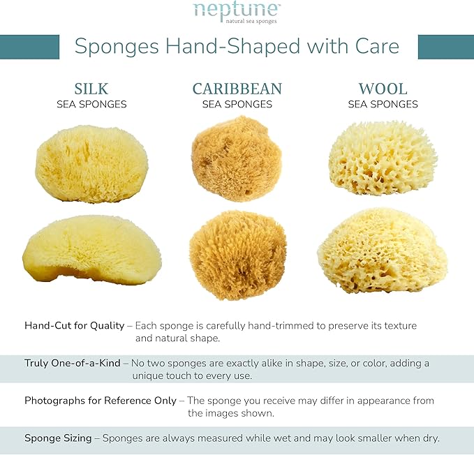 Neptune Caribbean Sea Sponge for Face & Body, Medium Approx. 5-6 Inch, Ultra-Soft Bath Sponge, Eco-Friendly & Biodegradable