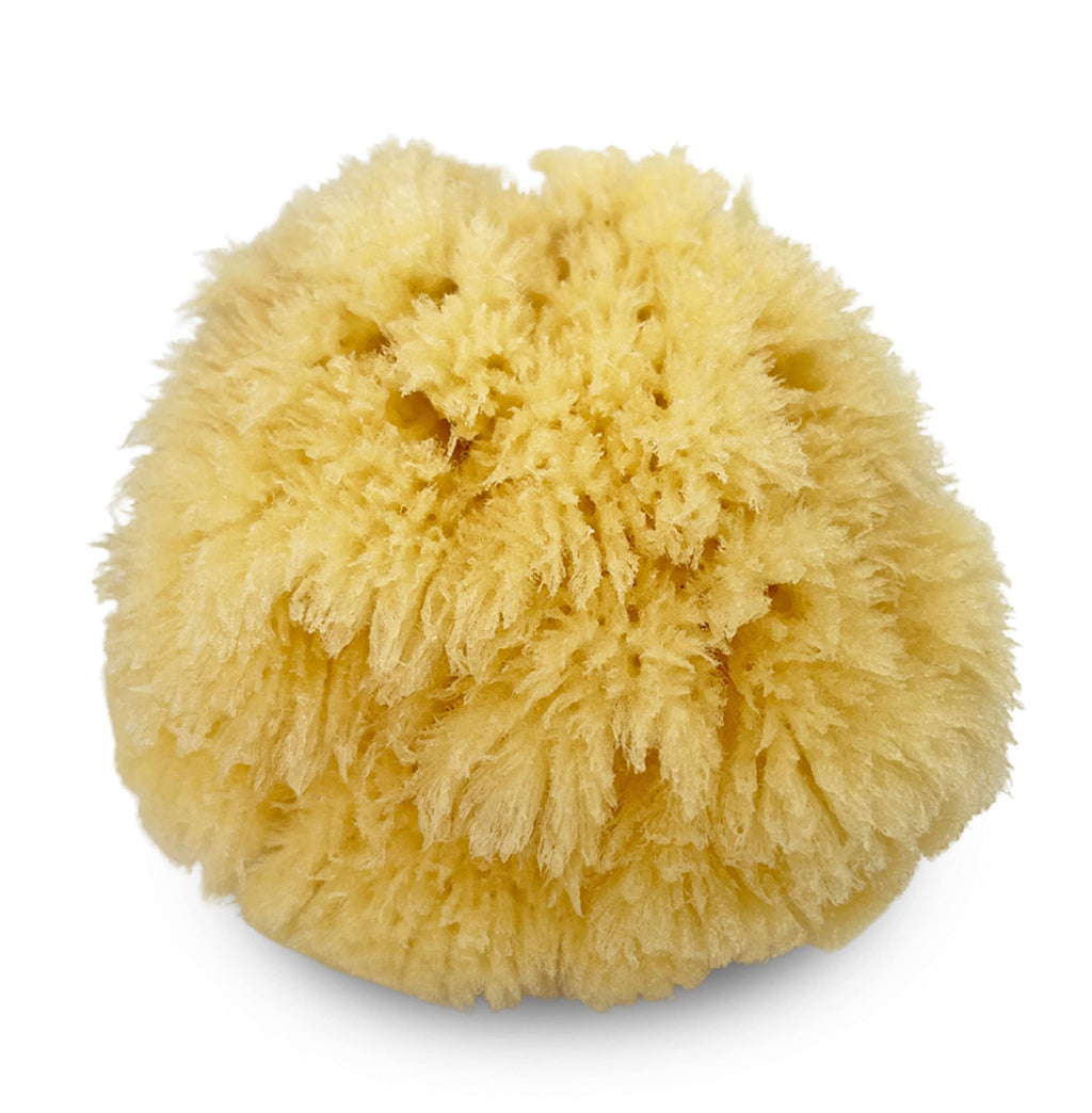 Natural Sea Sponge 5pk Spa Gift Set Bath Shower & Facial Care, Premium Bag