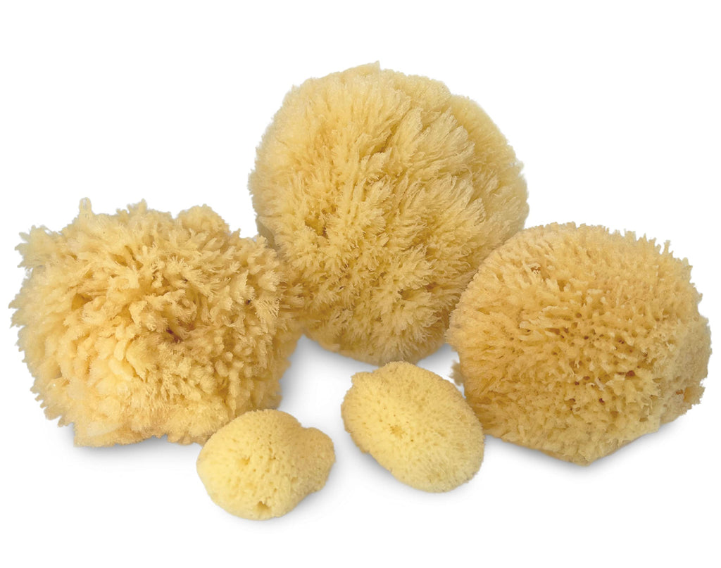 Natural Sea Sponge 5pk Spa Gift Set Bath Shower & Facial Care, Premium Bag