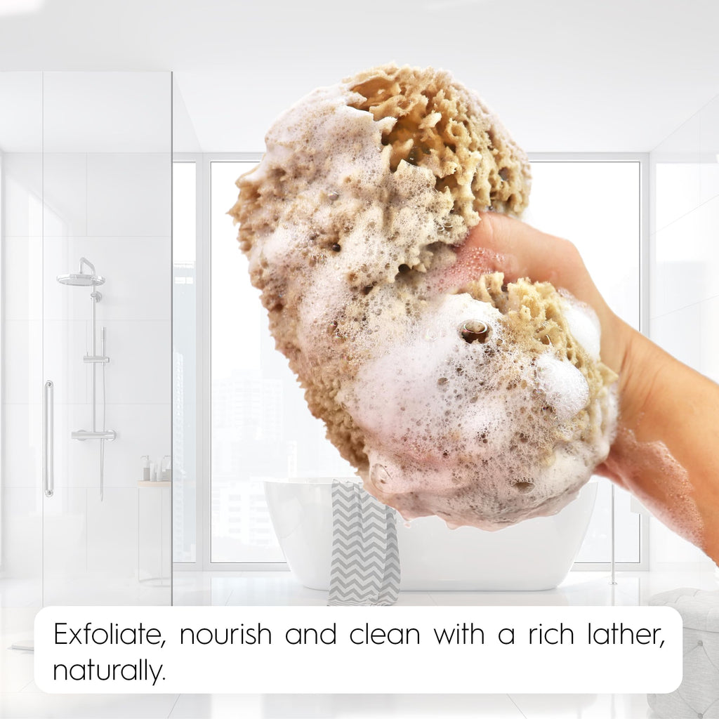 Naroa Exfoliating Natural Sponge for Shower | Bath Sea Loofah for Healthy Skin | Unbleached Bathing Body Scrubber Puff | Sustainable Plastic Free (Small)