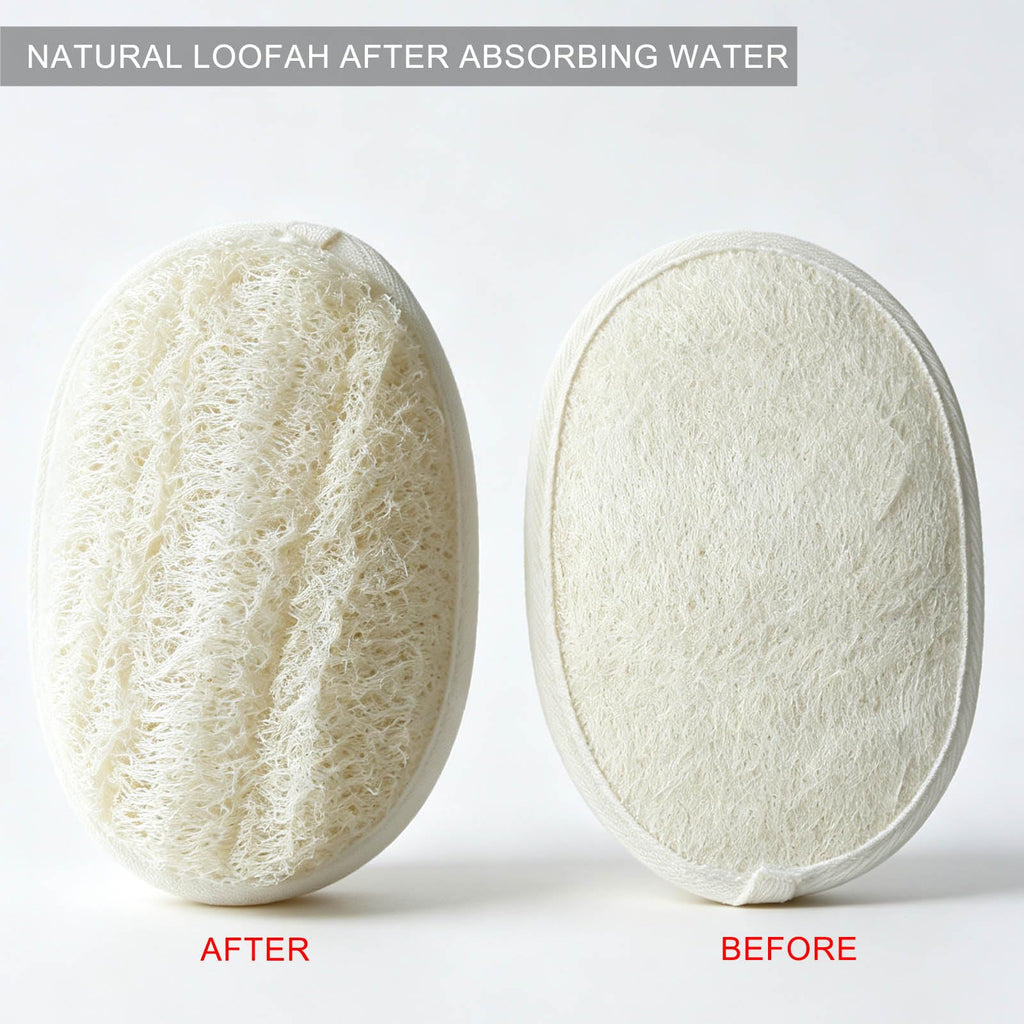Natural Loofah Sponge, Exfoliating Loofah Back Scrubber for Shower, 2-Pack