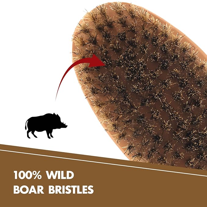 Kootinn Boar Bristle Hair Beard Brush for Men - Small Soft Beard Brush, Pocket Travel Men's Wooden Mustache Brush