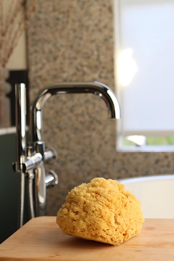 Real Sea Sponge for Men - Extra Large 6"-7", Totally Natural, Kind on Skin for an Invigorating Shower, Supplied in Breathable Mesh Bag. Great for The Gym, Grooming, Bath & Body Gift by Constantia Man
