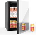 Erivess Beverage Refrigerator with Mirrored Front Door, 0.9 Cubic Feet/24 Cans Fridge for Soda Beer or Wine with Adjustable Shelve, Small Refrigerator for Home/Bar/Office(Silver)