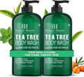 Botanic Hearth Tea Tree Body Wash - 16 Fl oz Pack of 2