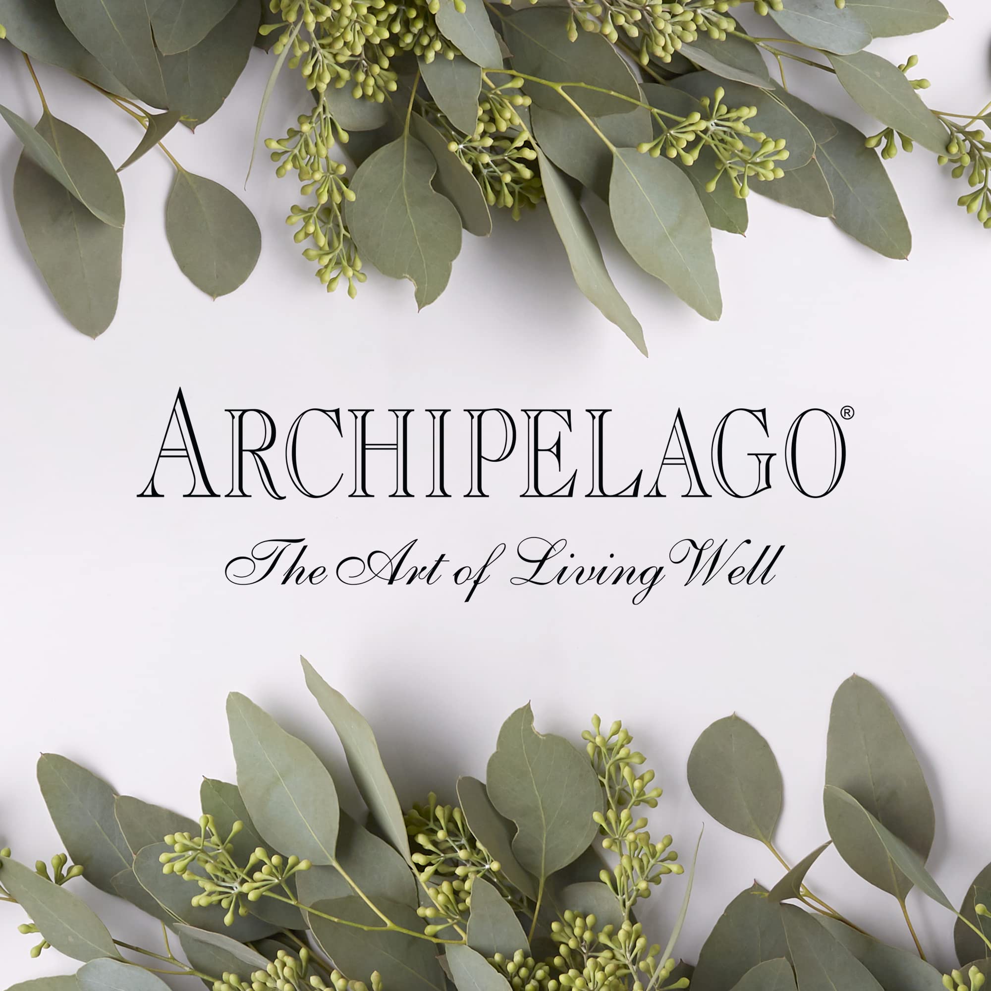 Archipelago Botanicals Morning Mint Body Wash, Moisturizing Body Wash for Dry and Sensitive Skin, Invigorating Shower Gel, Free from Parabens, Phthalates and GMOs (33 oz)