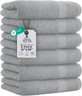 DAN RIVER 6-Pack Premium Hand Towels (16x28 Inches) - 100% Cotton, Ultra Soft, Lightweight, Highly Absorbent Towels for Bathroom, Spa, Gym, Salon, Hotel, and Travel - Silver