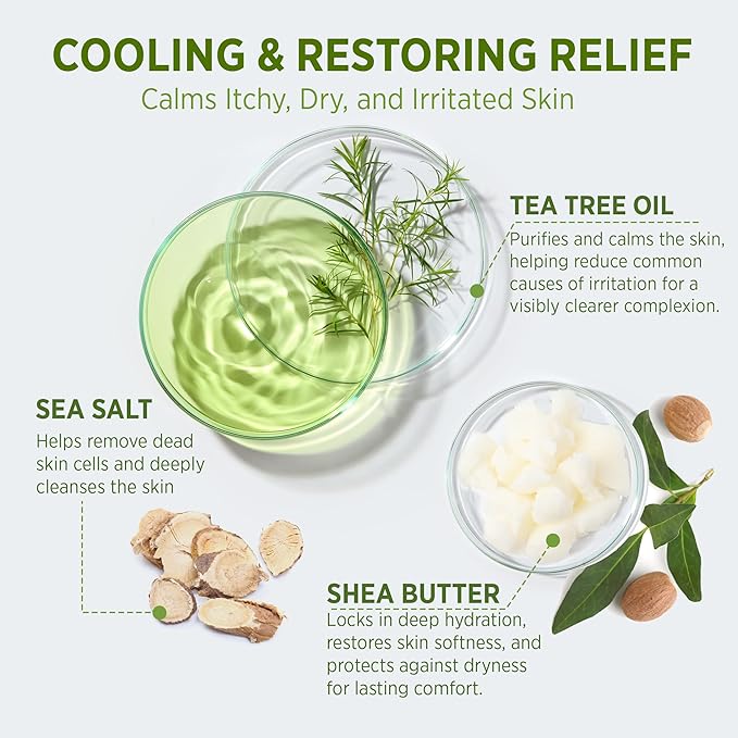 Roycederm Tea Tree Body Wash & Soap, Purifying and Refreshing Body Cleanser with Tea Tree Oil & Wormwood, Moisturizing Body Wash Helps Soothe Skin, Suitable for Men and Women, 16.9 Fl Oz