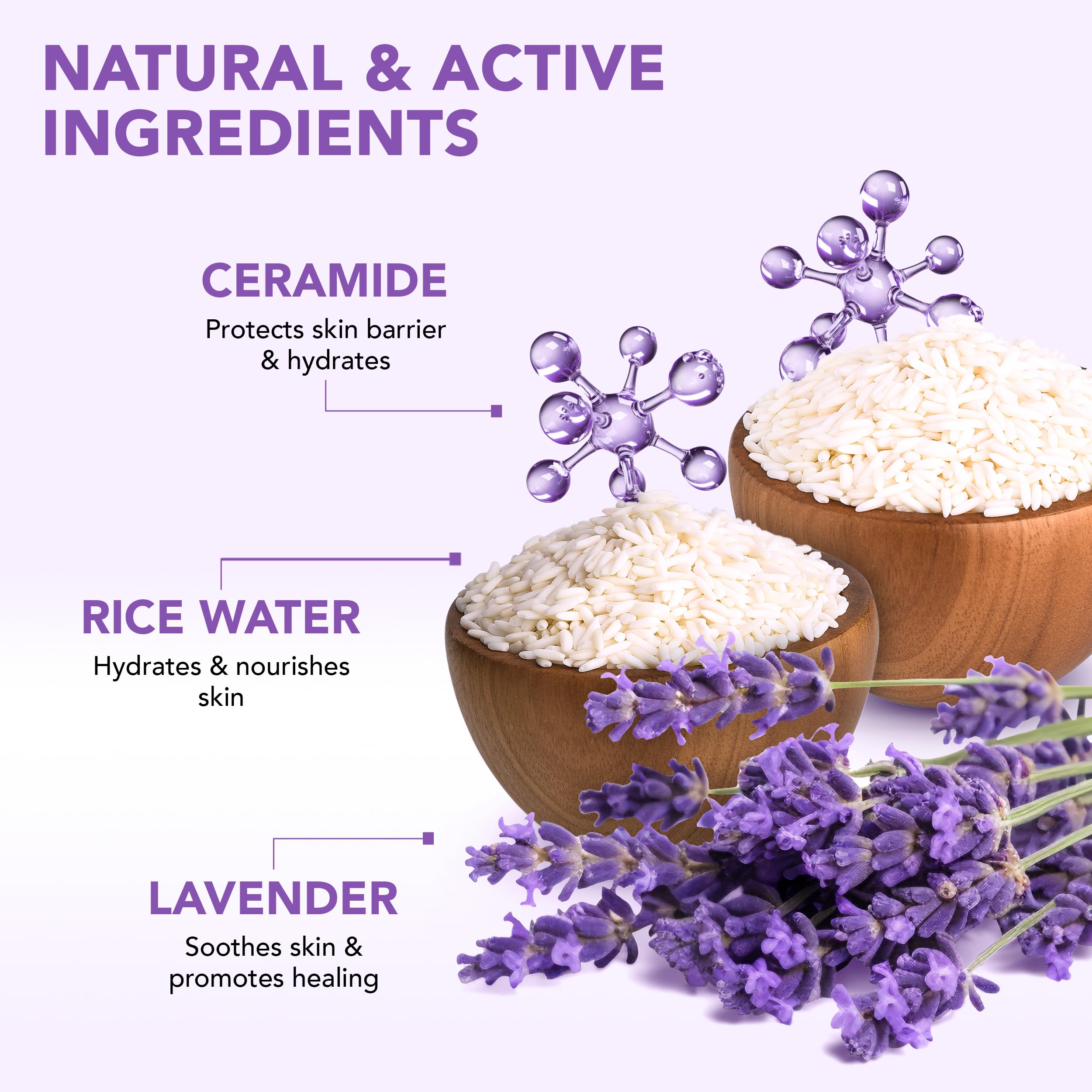 Botanic Hearth Dreamy Lavender Body Scrub 8.8 Fl Oz | Gently Exfoliates And Moisturizes Skin, Infused With Natural Lavender Oil And Essential Nutrients For Smooth And Radiant Skin