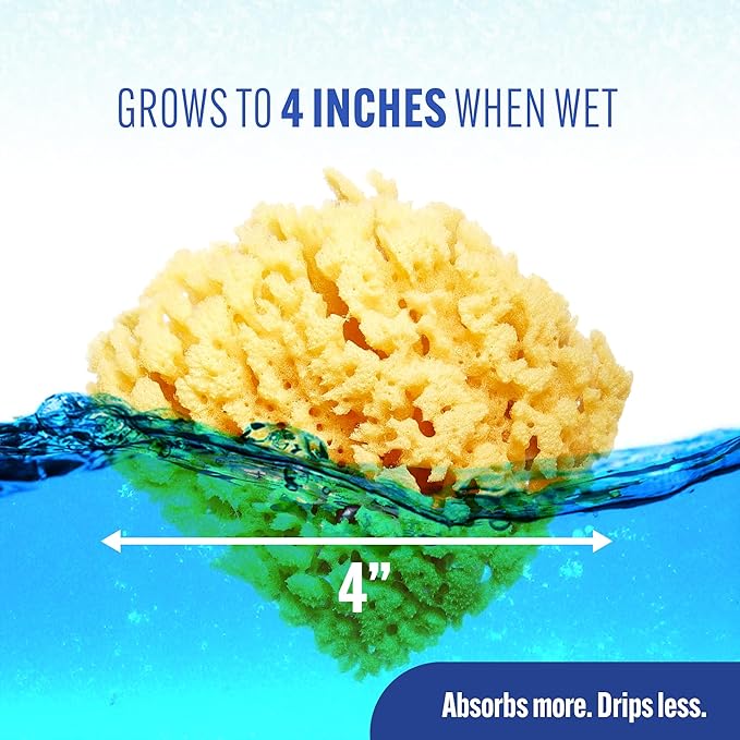 Baby Buddy Baby Bath 4in Yellow Sea Sponge, Absorbent Natural Sea Sponge, Soft on Tender Skin, Biodegradable, Hypoallergenic, Bath Accessories for Bathing, 1 Pack