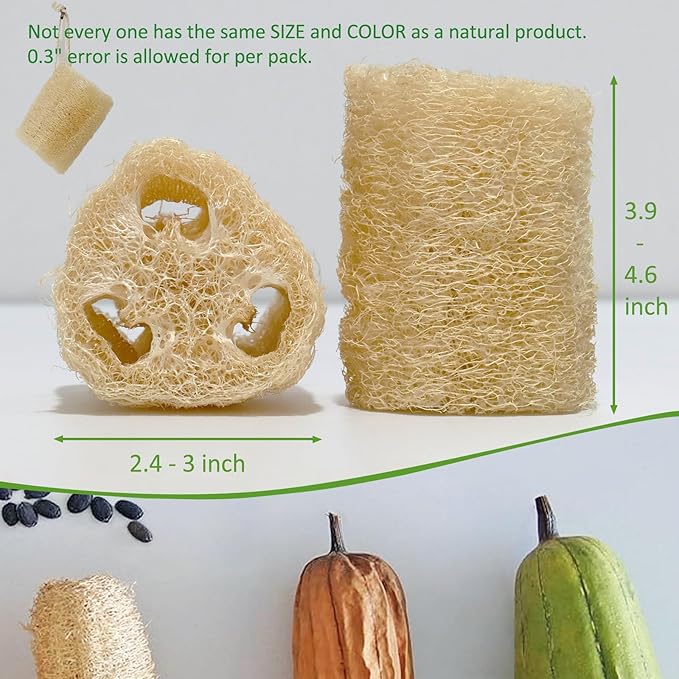 Natural Loofah Sponge, Organic Luffa Exfoliating Body Scrubber, 6 Pack