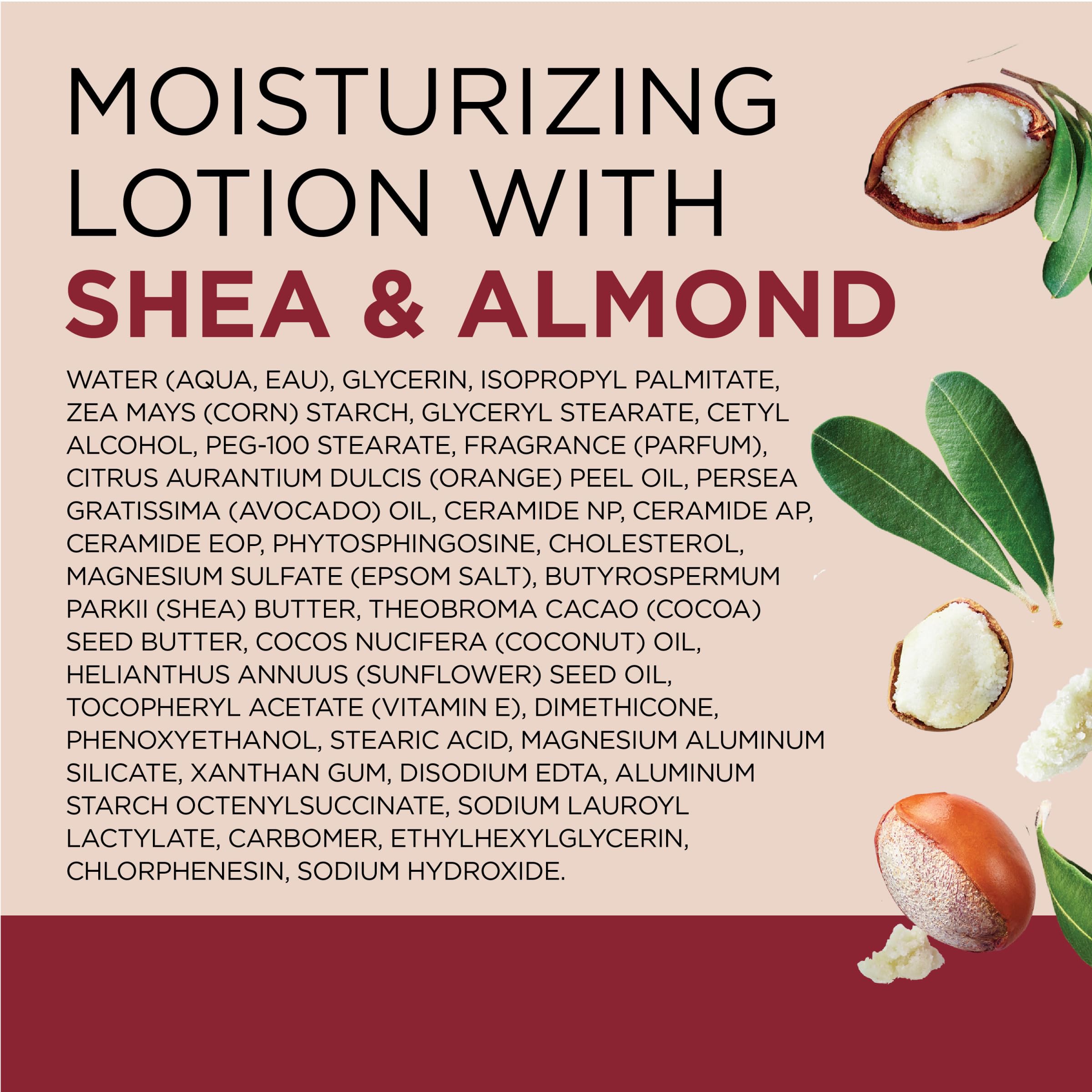 Dr Teal's Body Lotion, Shea Butter & Almond, 18 fl oz (Pack of 3)