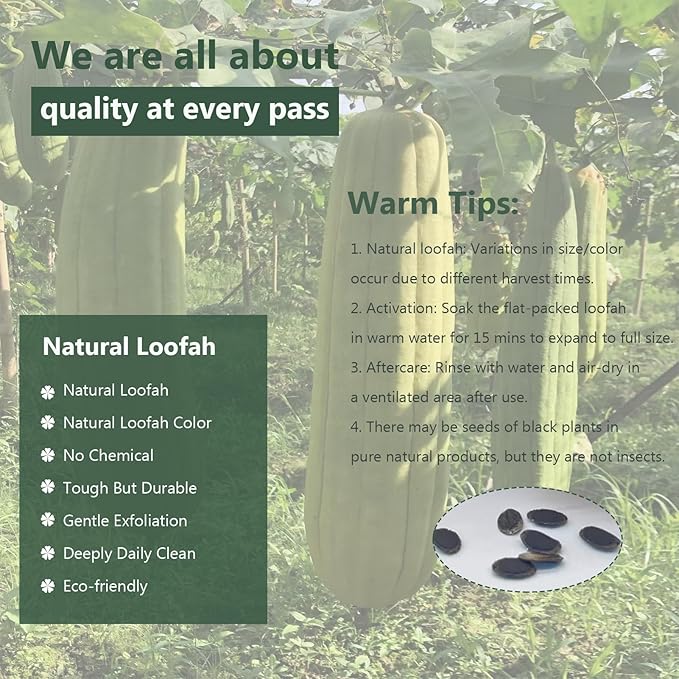 Natural Loofah Sponge, Organic Luffa Exfoliating Body Scrubber, 6 Pack