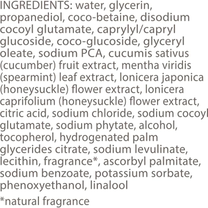 Burt's Bees Refreshing Foaming Face Cleanser and Face Wash with Cucumber and Mint,4.8 Fluid,(Pack of 2)