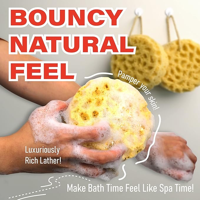 myHomeBody Bath Sponge, Foam Loofah, Shower Sponge for Body, Round, 3 Pack