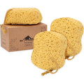 myHomeBody Bath Sponge, Foam Loofah, Shower Sponge for Body, Curvy, 3 Pack