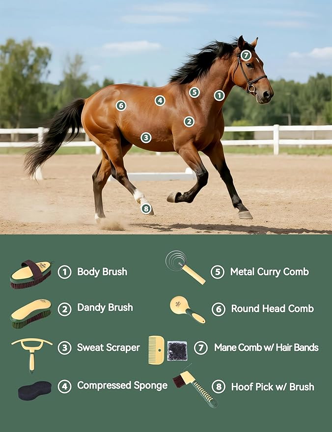 9-Piece Horse Grooming Brush Kit, Silicone Curry Comb & Grooming Brushes for Daily Care, Bathing & Shedding Pasture Glow
