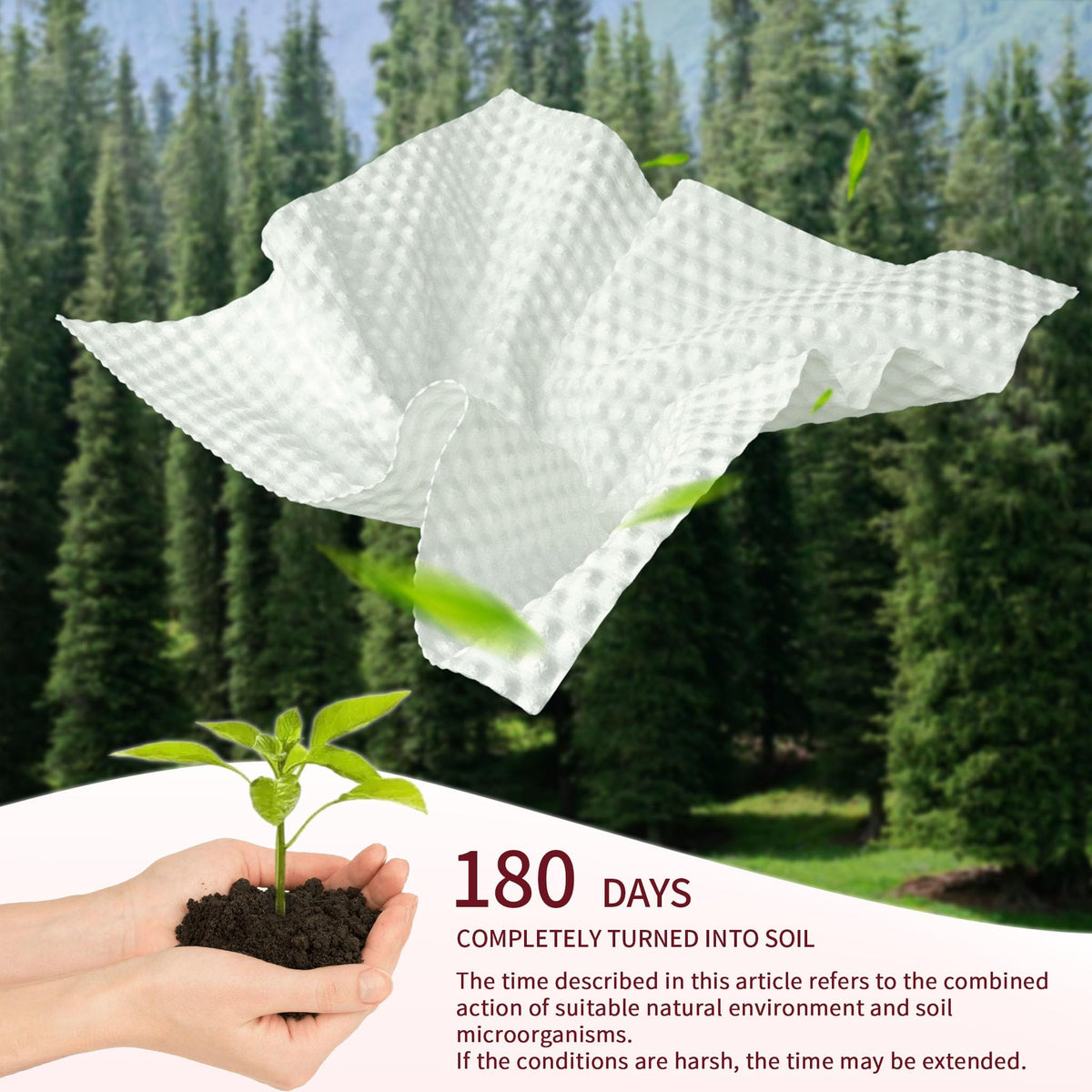 800 Count Soft Dry Wipe Dot Texture, 10 Pack