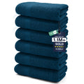 DAN RIVER 6-Pack Premium Hand Towels (16x28 Inches) - 100% Cotton, Ultra Soft, Lightweight, Highly Absorbent Towels for Bathroom, Spa, Gym, Salon, Hotel, and Travel - Opal Blue