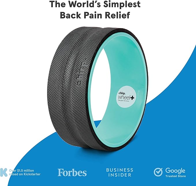 Chirp Wheel+ Foam Roller, Back & Neck Pain Relief, Mint 12-Inch
