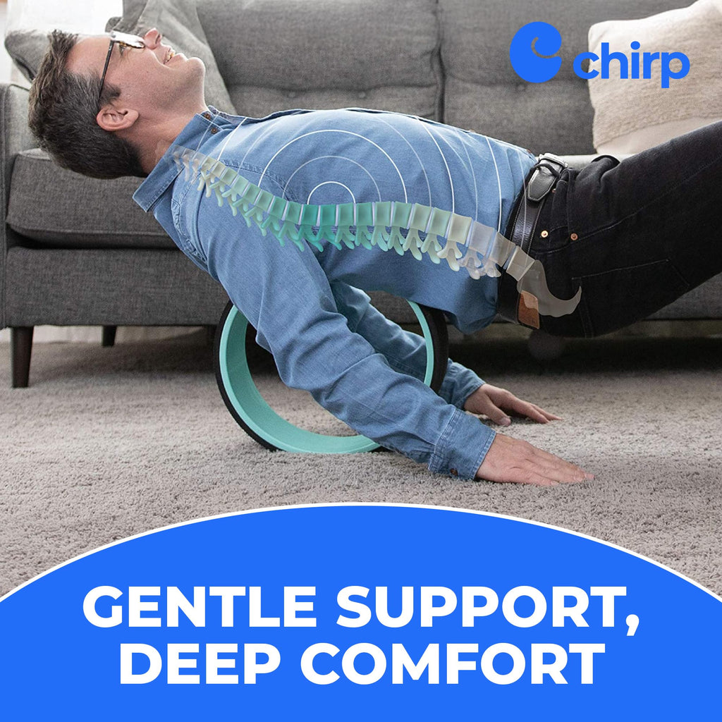 Chirp Wheel+ Foam Roller 4-Pack, Back & Neck Pain Relief, Mint