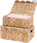 Set of 2 Scalloped Edge Wicker Basket with Lids, Rectangle Wicker Storage Basket with Built-in Handles, Multipurpose Organizer Rattan Display Boxes for Shelf, Nursery Room