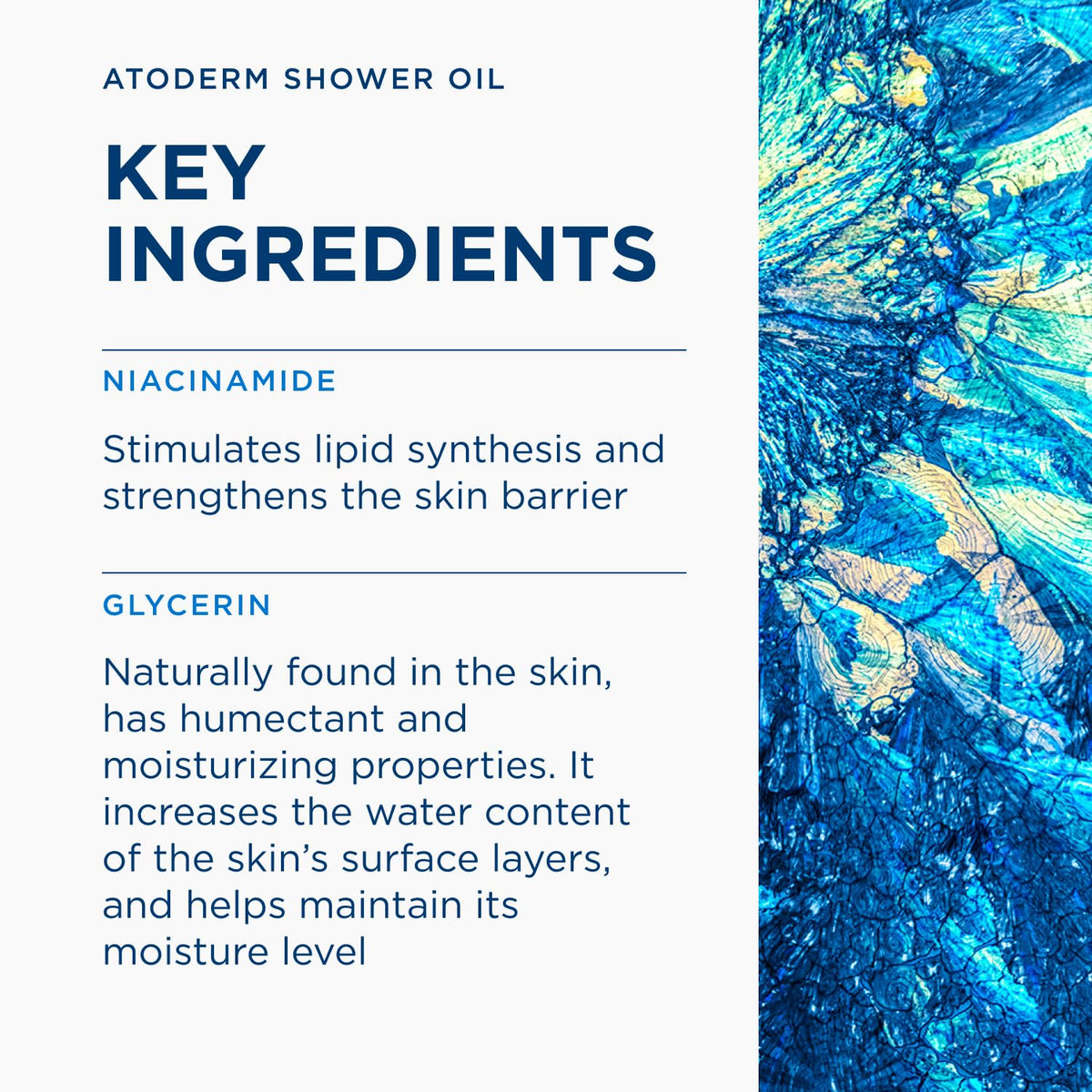 Bioderma - Atoderm - Cleansing Oil For Very Dry Sensitive Skin - Face and Body - Soothes Discomfort - 6.7 Fl Oz (Pack of 1)