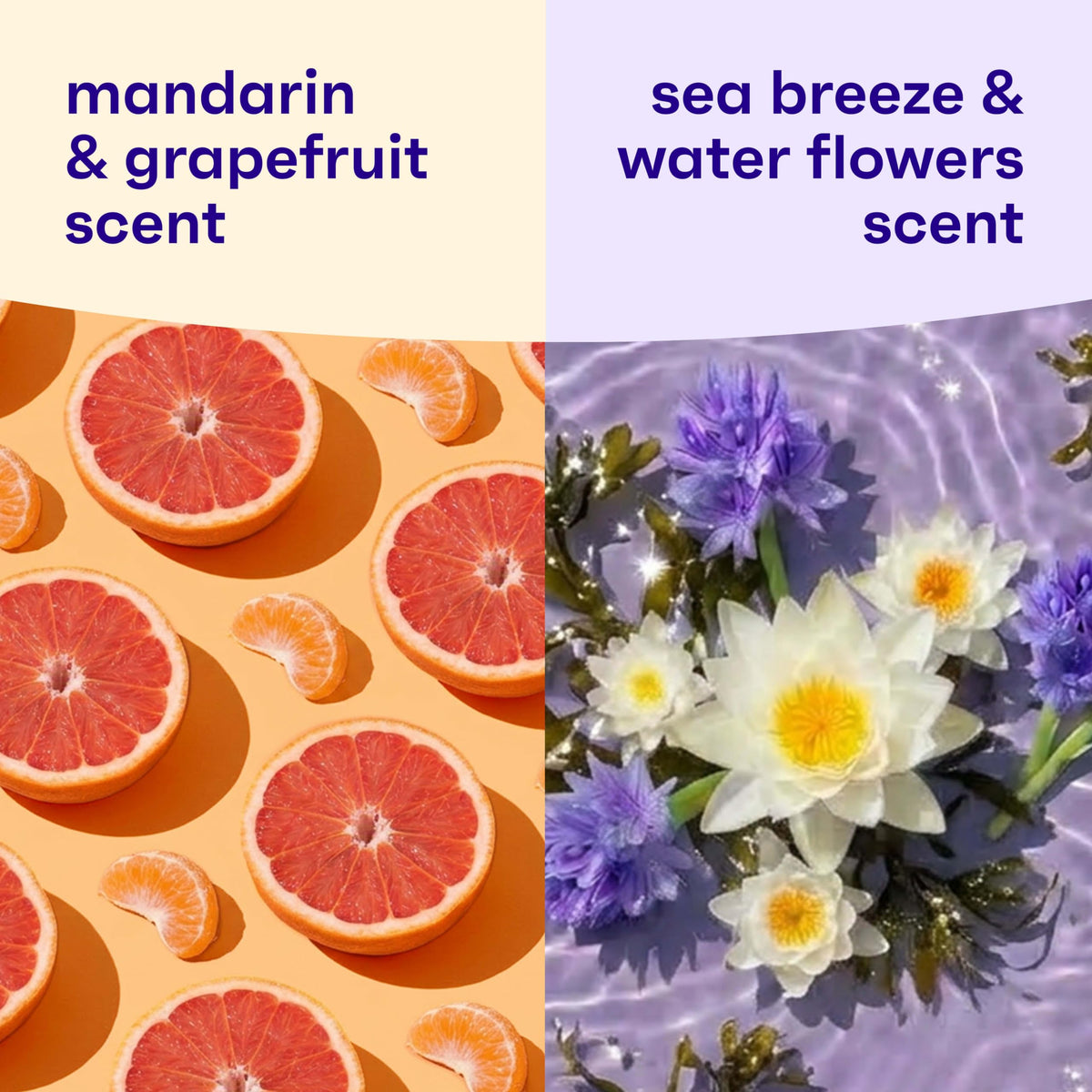 Clean & Clear 2-Pack Oil-Free Facial Cleansers with Citrus Scent, Morning Burst and Night Relaxing, 16 oz