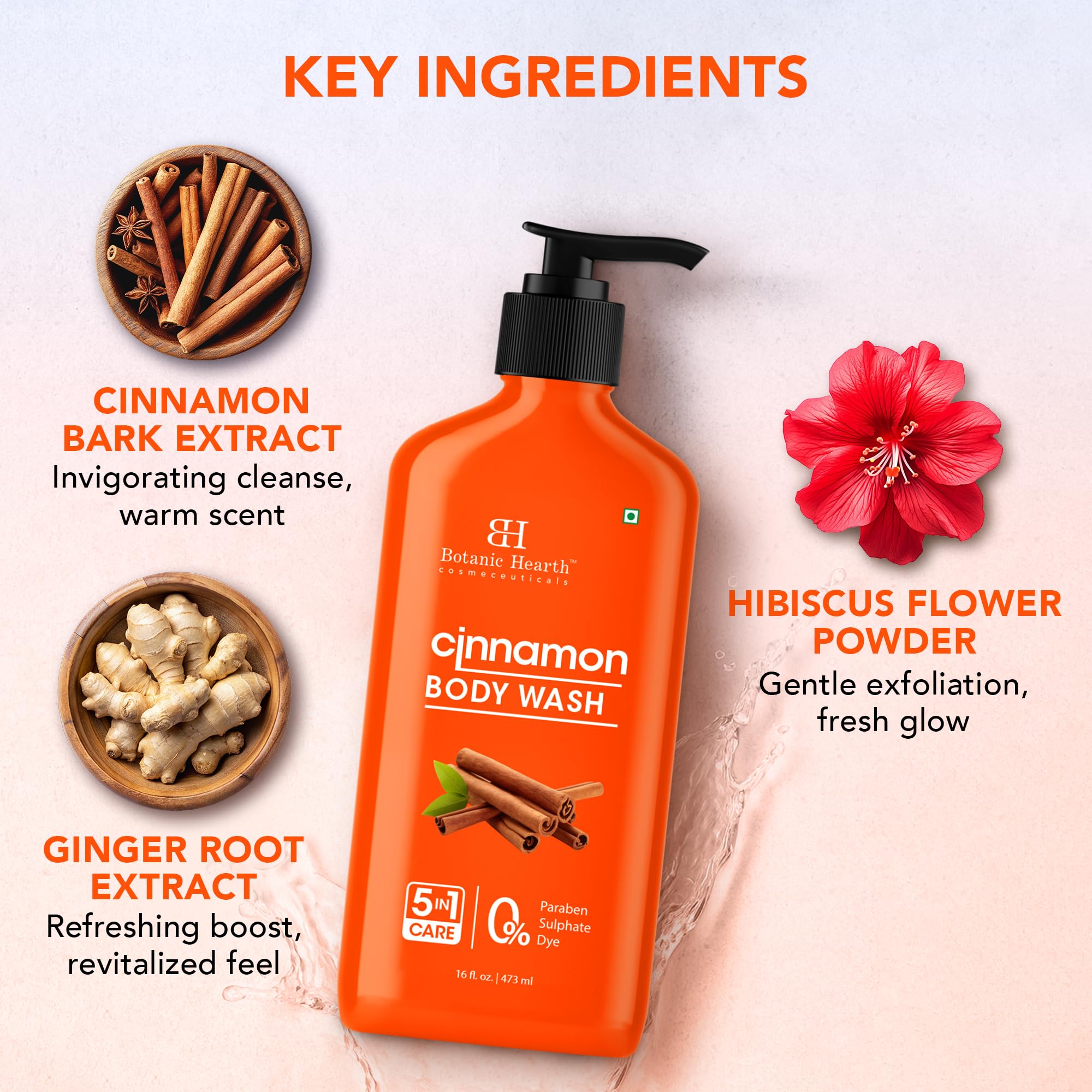 Botanic Hearth Cinnamon Body Wash – 16 fl oz