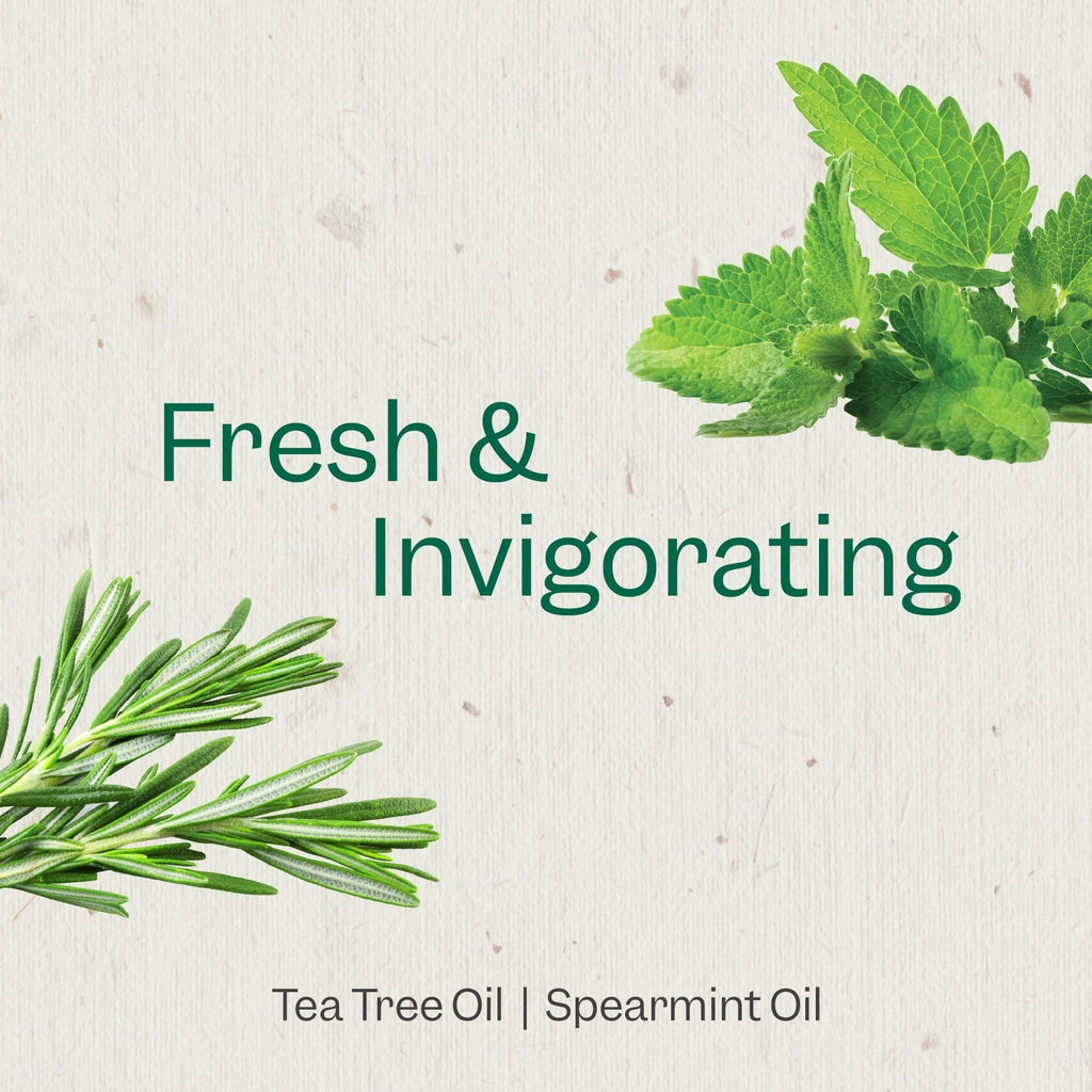 Renpure Tea Tree & Mint Body Wash - Cleanses, Invigorates & Refreshes Skin Without Over-Drying - For All Skin Types - Tea Tree Leaf Oil, Spearmint Leaf Oil - 24 Fl Oz each, 2 Pack