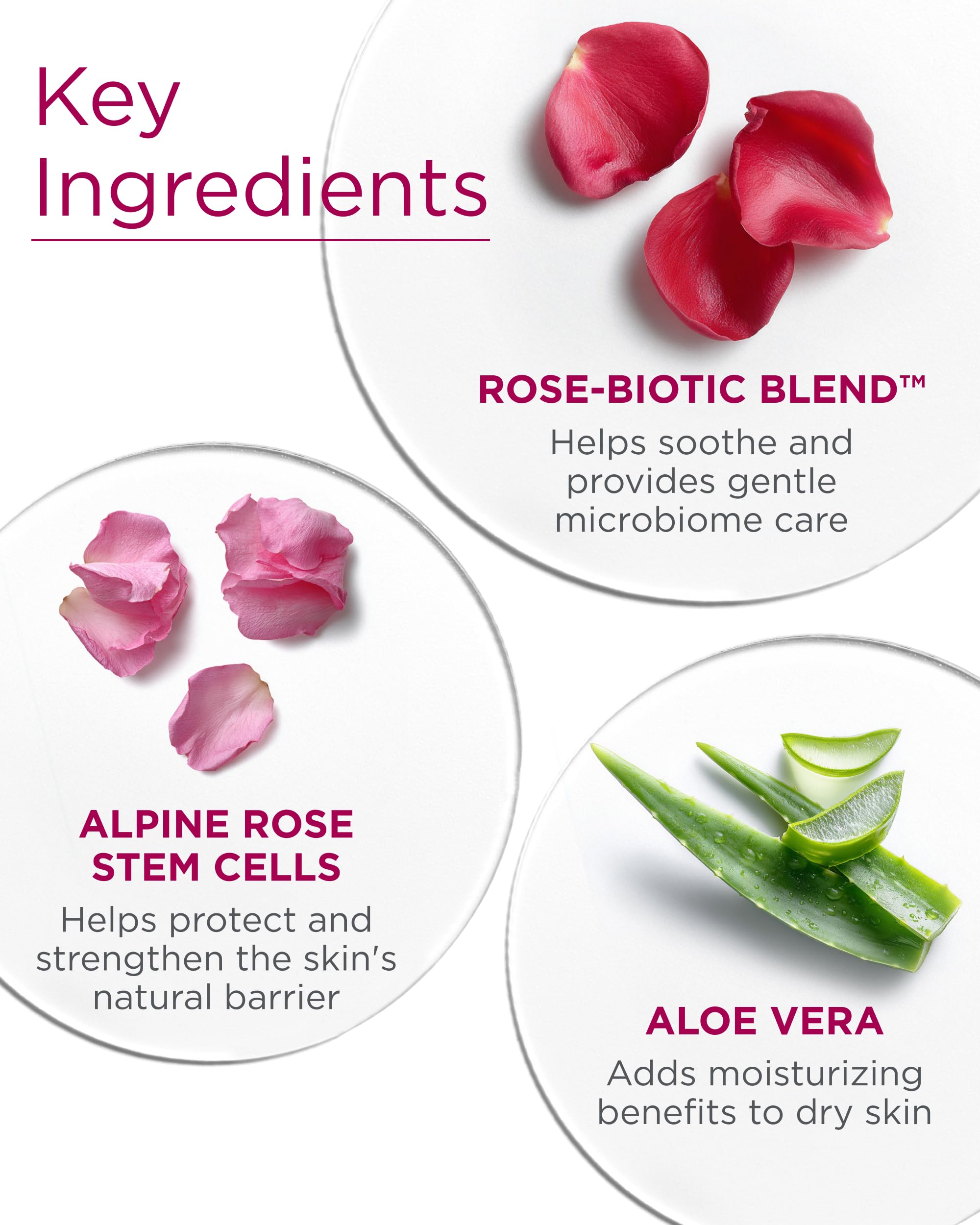 Andalou Naturals 1000 Roses Biome Balancing Toner Spray | Gentle Face Mist with Rose Stem Cells to Help Protect & Strengthen Skin Barrier|Refreshing & Soothing on Sensitive Skin | 6fl oz