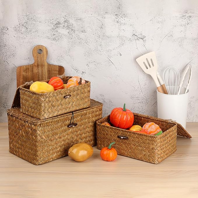 Sumnacon Wicker Basket with Lid, Rectangle Woven Tampon Holders, Caramel
