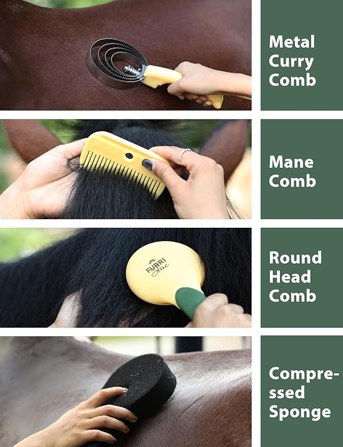 9-Piece Horse Grooming Brush Kit, Silicone Curry Comb & Grooming Brushes for Daily Care, Bathing & Shedding Pasture Glow