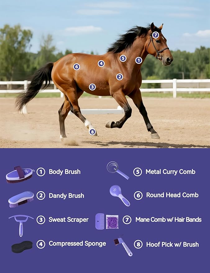 9-Piece Horse Grooming Brush Kit, Silicone Curry Comb & Grooming Brushes for Daily Care, Bathing & Shedding Sugar Taro