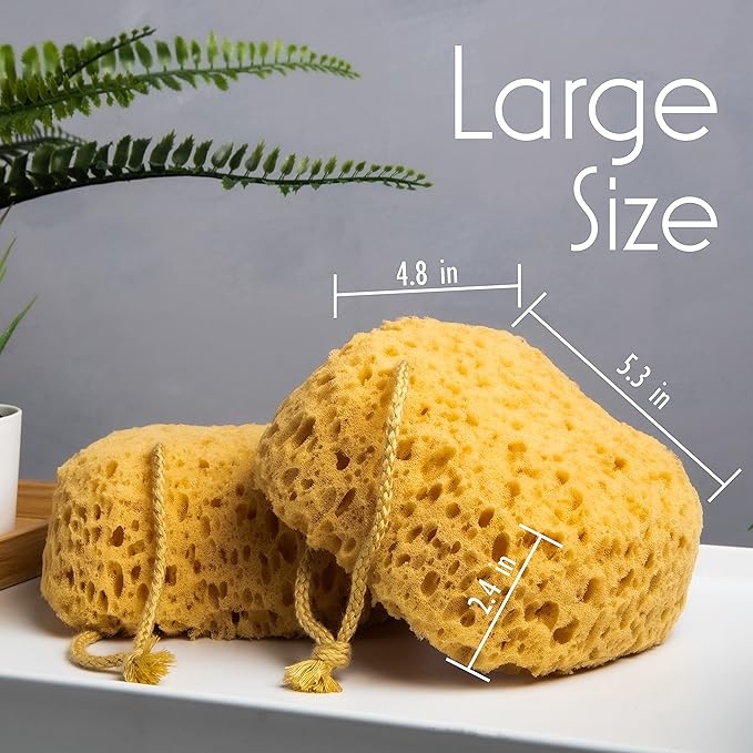 myHomeBody Bath Sponge, Foam Loofah, Shower Sponge for Body, Curvy, 2 Pack