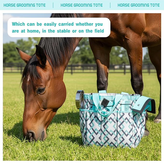Abbylike 12 Pieces Horse Grooming Kit with Organizer Tote Bag Tack Room Supplies Horse Brush Sets Equine Care Cleaning Kit Shedding Grooming Massaging Tools (Mint Green and Grey)