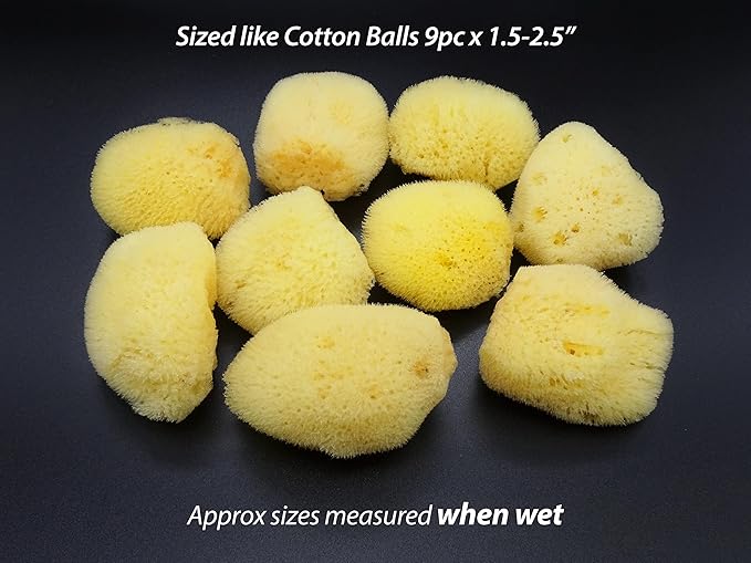Constantia Beauty® Natural Sea Silk Sponges 12pack, like Cotton Balls, for Cosmetic Use, Makeup Application Blending & Removal, Face & Eye Cleaning, Size 9pc x1.5"-2.5" 3pc x 2.5"-3" Luxury Gift Bag