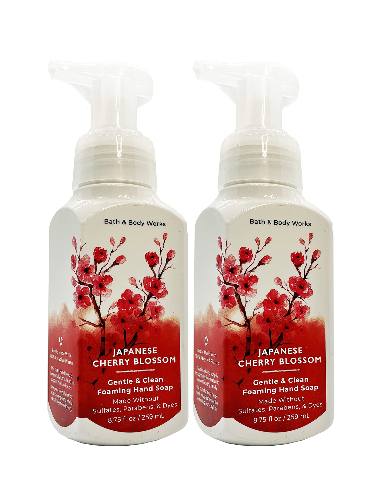 Bath & Body Works Bath and Body Works Dream Bright Gentle Foaming Hand SoaP 2-Pack (Dream Bright), 17.5 ounces, 17.5 Fl Oz
