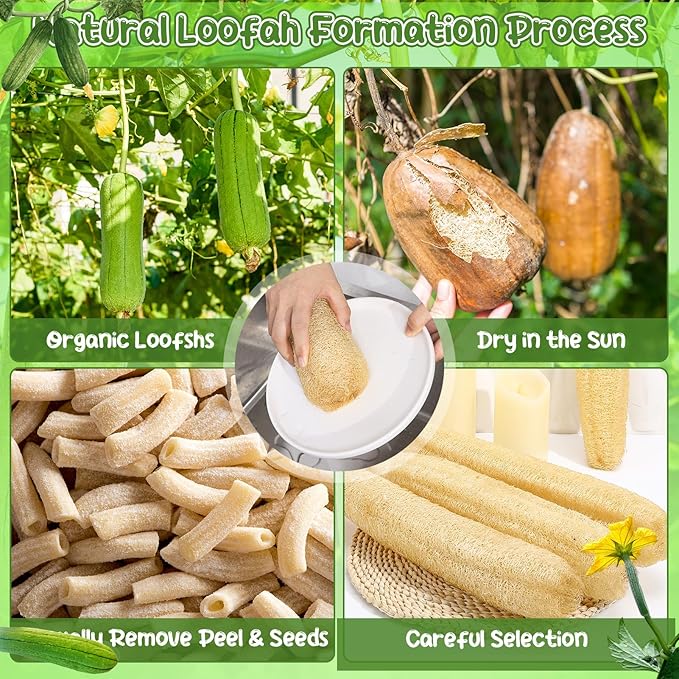 ZhouBoat 6 Pack Natural Loofah Sponge 13.8-15.7 Inches for Men Women