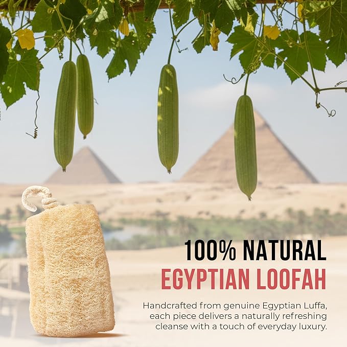 SERRENTO Loofah Body Scrubber Shower - Egyptian Luffa Sponge Pack of 3 Tan