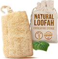 SERRENTO Natural Loofah Sponge – Egyptian Luffa Body Scrubber Pack of 1 for Men & Women, Natural Bath & Shower Loofah Exfoliator, All Natural Loofah Sponges for Face Back & Body, 6" x 6"