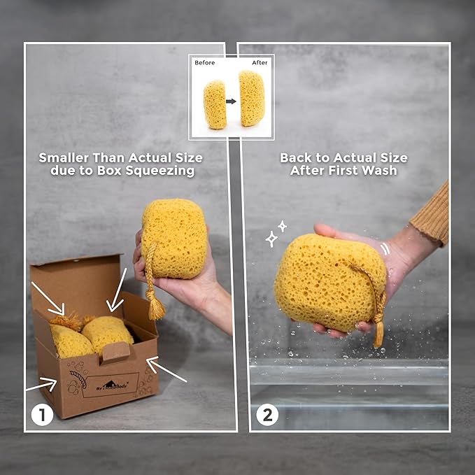 myHomeBody Bath Sponge, Foam Loofah, Shower Sponge for Body, Square, 2 Pack
