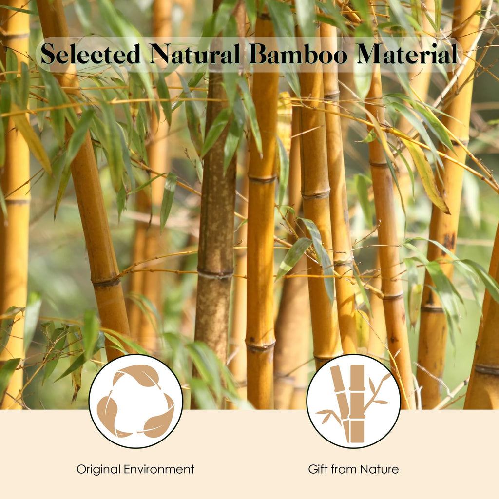 GAINWELL Bamboo Hair Brush for Hair Growth, Natural Bamboo Bristles Detangling Square Wooden Paddle Hairbrush for Massaging Scalp, for Women Men and Kids, for All Hair Types, with Ergonomic Handle
