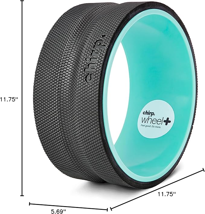 Chirp Wheel+ Foam Roller, Back & Neck Pain Relief, Mint 10-Inch